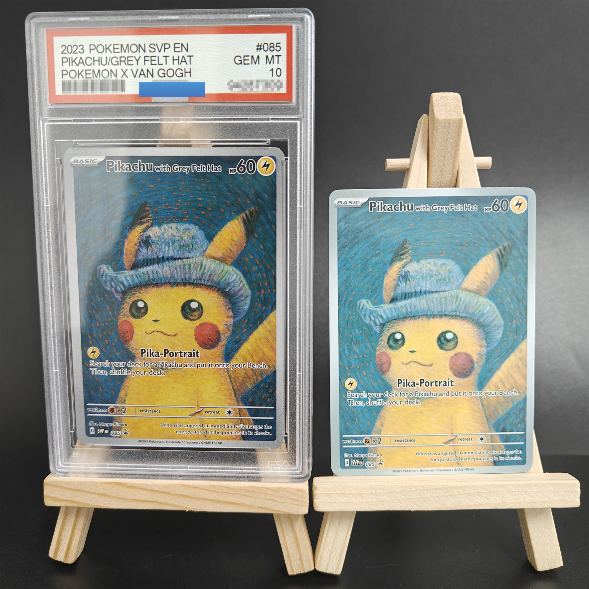 Proxy 2023 PTCG  POKEMON X VAN - Outdoor Sports Accessories reseña y precio